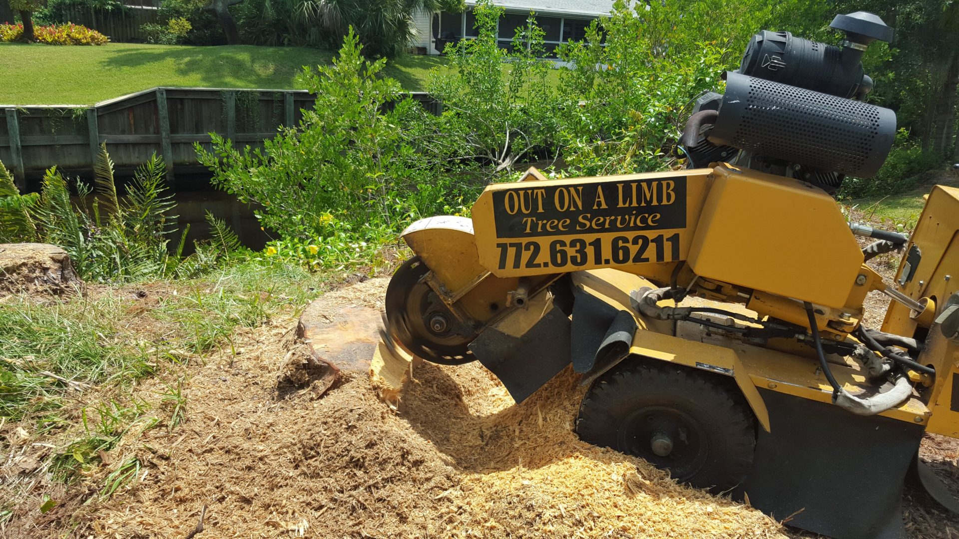 Stump Grinding Service Out On A Limb Tree Service